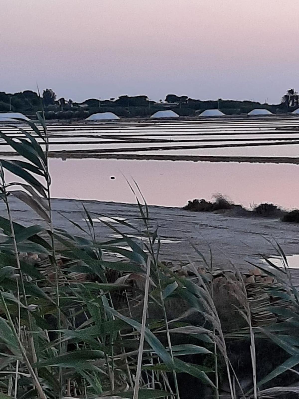 Oro Bianco Daire Marsala Dış mekan fotoğraf